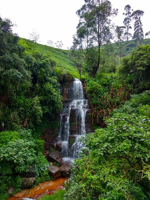 waterfall nuryoaya (480x640)